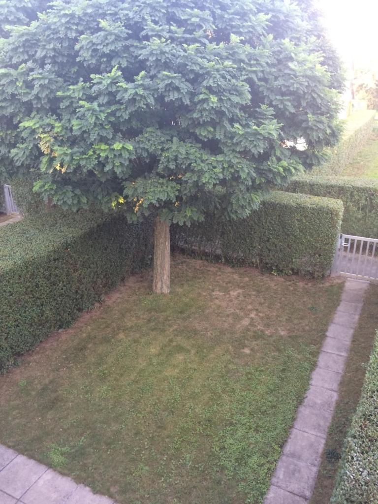 Familien Chalet Mit Direktem Bademantelgang Zur Therme Lutzmannsburg Dış mekan fotoğraf